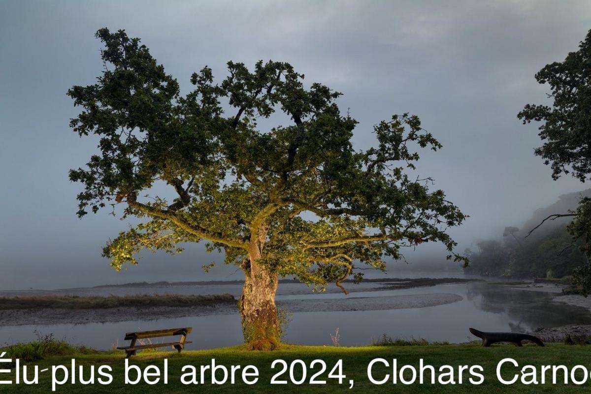 Ty Glazu Doelan Espace 60M2, Port& Criques A Pied, 2 Chambres Privees Au 1Er Etage, Sdb, Wc Separe Clohars-Carnoët Exteriör bild